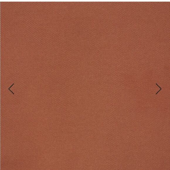 SKIMS NWT high-waisted brief core control in the color bronze size 4XL - Picture 5 of 6